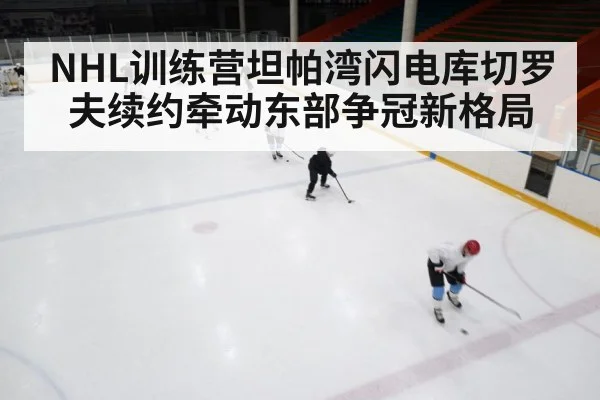 NHL训练营坦帕湾闪电库切罗夫续约牵动东部争冠新格局